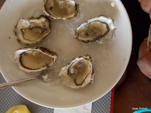 Camping Montrose (24)