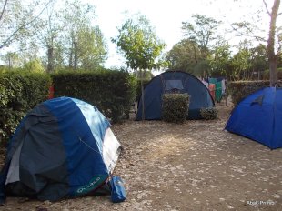 Camping Montrose (3)