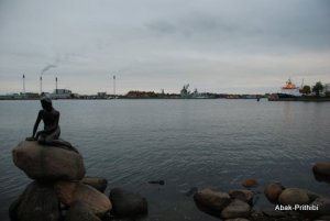 DSC_0263