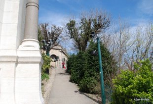 lyon (11)