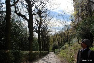 lyon (13)