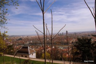 lyon (17)