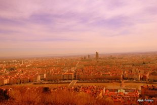 lyon (5)