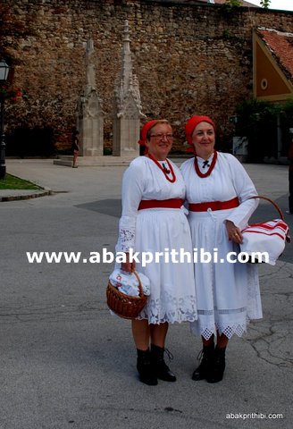 Zagreb Cathedral, Croatia (7)