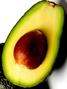 avocado