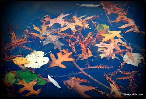 Abakprithibi photo (5)