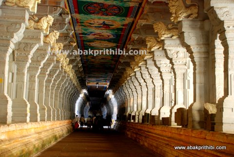 The Man Who Knew Infinity