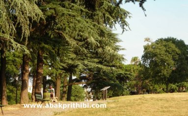 Street performance, France (1)