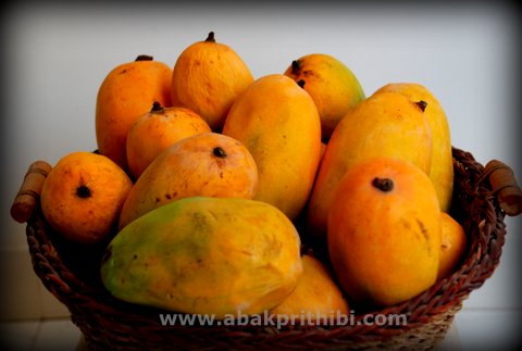 Mango - National Fruit of India (2)