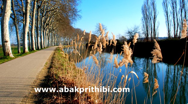 Bengali blog photo.JPG